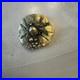 1970s-C-Tasha-Black-Widow-Belt-Buckle-On-Leaf-with-Eggs-Solid-Brass-Very-Rare-01-nznk