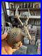 Ancient-Old-Brass-Hand-Carved-Beautiful-Very-Rare-Deer-Head-Hanger-Wall-Hanging-01-ol