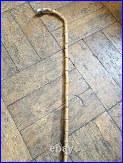 Antique H. M. Silver 1898 rare head mistresses very flexible knotty school cane