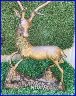 Antique Stag /Deer Brass Statue Large & Very Heavy Rare $540 Free Postage