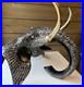 Big-Heavy-Brass-Elephant-Head-Hand-Painted-RARE-Sculpture-Very-Heavy-01-xjwn