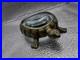 L-Objet-Turtle-Magnifying-Glass-Very-Rare-Highly-Collectible-01-ou