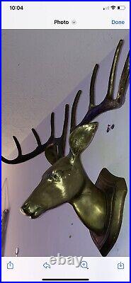 Rare Large Vintage Brass 10 Point Deer Head Mount Very Unique 32x18