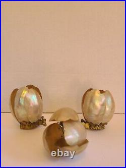 Rare Very Hard To Find 1920s Antique Shell Light Clips With Brass Fittings