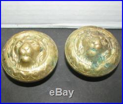 Rare Very Heavy Brass Patina Antique Lion Heads Door Knobs One Pair