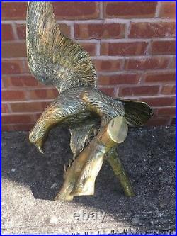Rare Vintage Solid Brass Eagle Very Large and Heavy Figure 24 Wingspan- 5kg