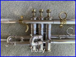 Very Rare Huller World Luxus Trumpet. 1900-1930's