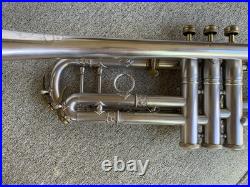 Very Rare Huller World Luxus Trumpet. 1900-1930's