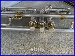 Very Rare Huller World Luxus Trumpet. 1900-1930's
