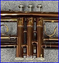 Very Rare Trumpet by Viking Instruments VTS60 Made in Taiwan & USA Closed 2017