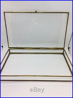 Very Rare Vintage Antique Brass Transparent Glass Art Display Jewelry Case 749-0