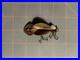 Very-Rare-Vintage-Buck-Perry-Red-eye-Brass-Spoonplug-01-xzog