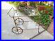 Very-Rare-antique-bar-cart-Trolly-French-Victorian-01-isg