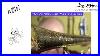 Wow-A-Fully-Hand-Hammered-Bell-1930-S-Olds-Military-Model-Trumpet-Very-Rare-Acb-Show-And-Tell-01-qogc